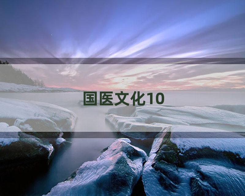 国医文化10