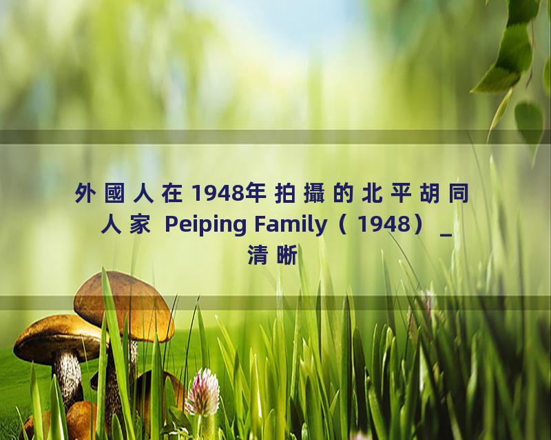 外國人在1948年拍攝的北平胡同人家 Peiping Family（1948）_清晰 480P