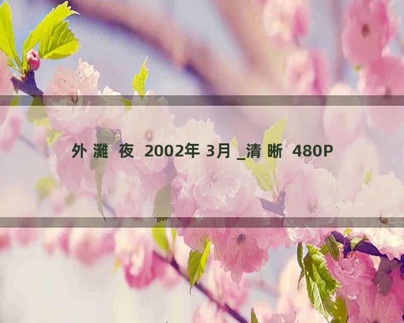 外灘 夜 2002年3月_清晰 480P