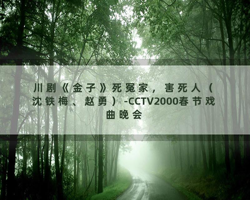 川剧《金子》死冤家，害死人（沈铁梅、赵勇）-CCTV2000春节戏曲晚会