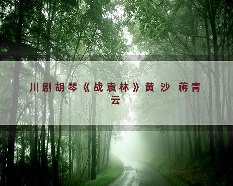 川剧胡琴《战袁林》黄 沙  蒋青云