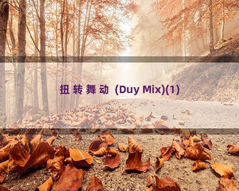 扭转舞动 (Duy Mix)(1)