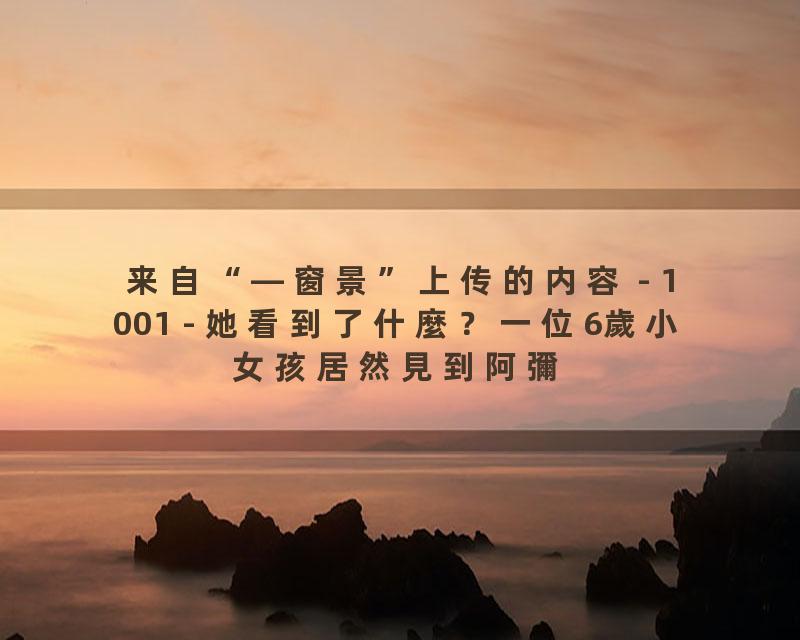 1001 - 她看到了什麼？一位6歲小女孩居然見到阿彌陀佛、到了西方極樂世界。