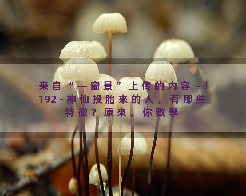 1192 - 神仙投胎來的人，有那些特徵？原來，你數學、英語不好，是有原因的？