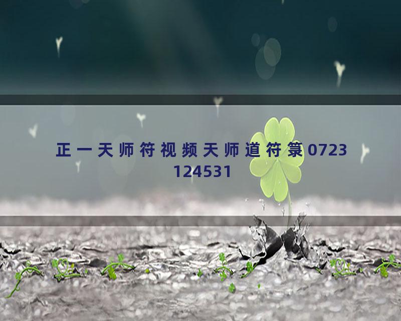 正一天师符视频天师道符箓0723124531