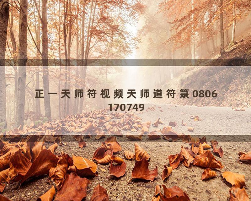 正一天师符视频天师道符箓0806170749