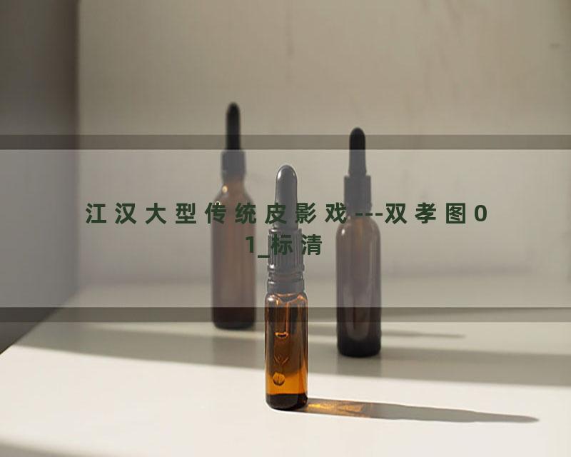 江汉大型传统皮影戏---双孝图01_标清