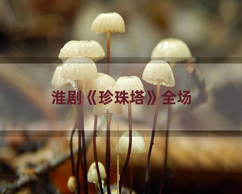 淮剧《珍珠塔》全场