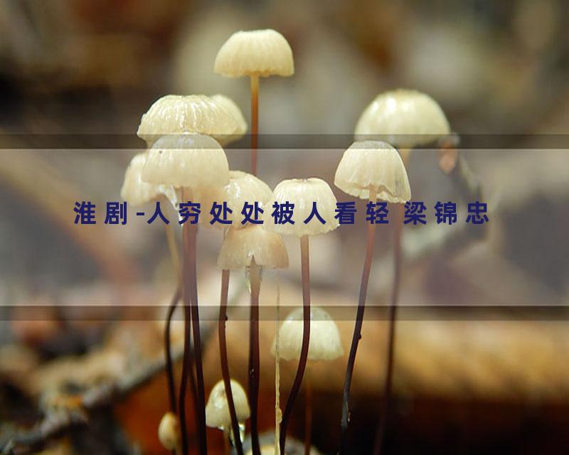 淮剧-人穷处处被人看轻 梁锦忠