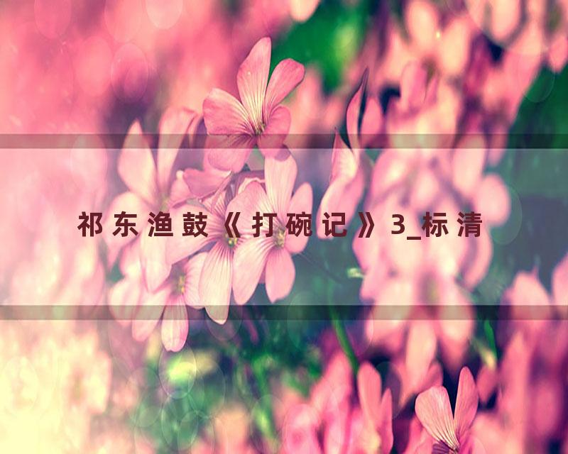 祁东渔鼓《打碗记》3_标清