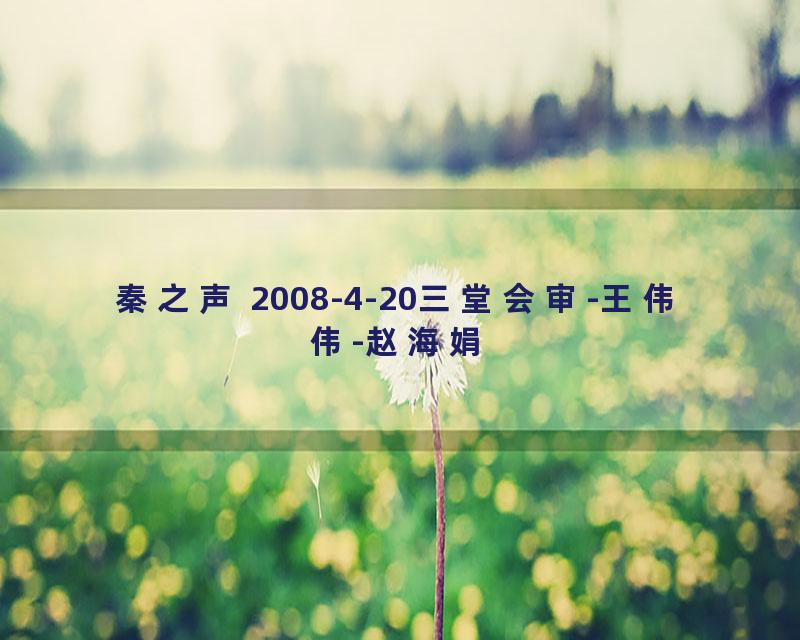 秦之声 2008-4-20三堂会审-王伟伟-赵海娟