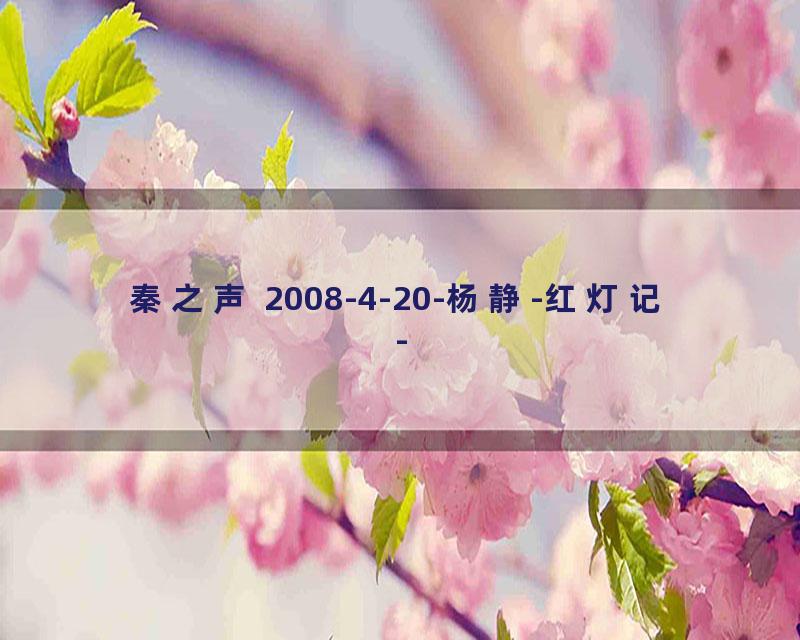 秦之声 2008-4-20-杨静-红灯记-