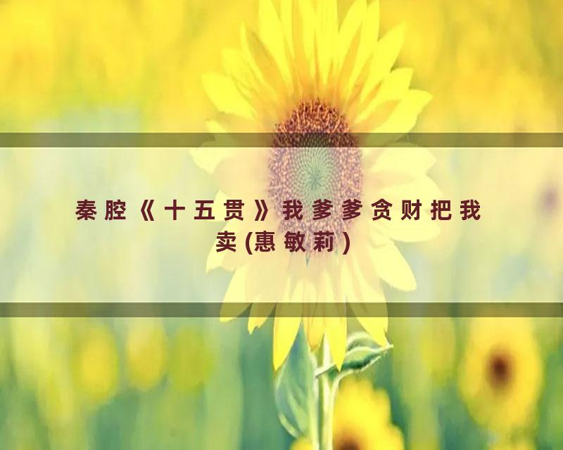 秦腔《十五贯》我爹爹贪财把我卖(惠敏莉)