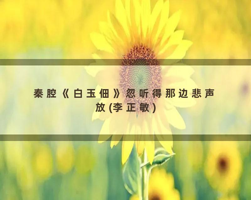 秦腔《白玉佃》忽听得那边悲声放(李正敏)