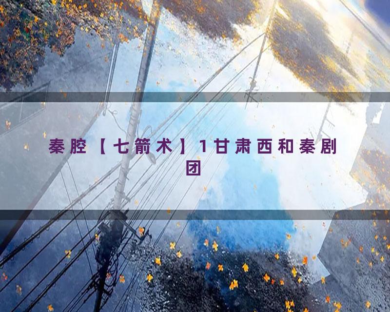 秦腔【七箭术】1 甘肃西和秦剧团