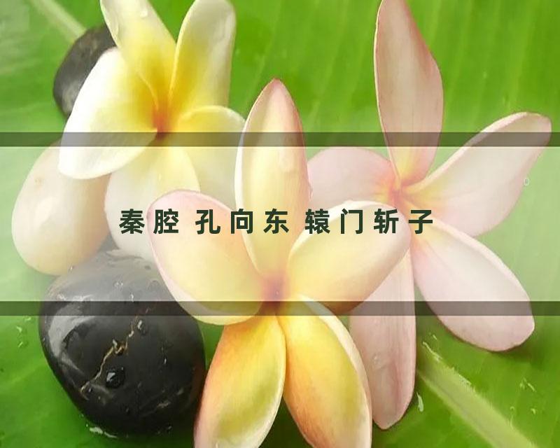 秦腔 孔向东 辕门斩子