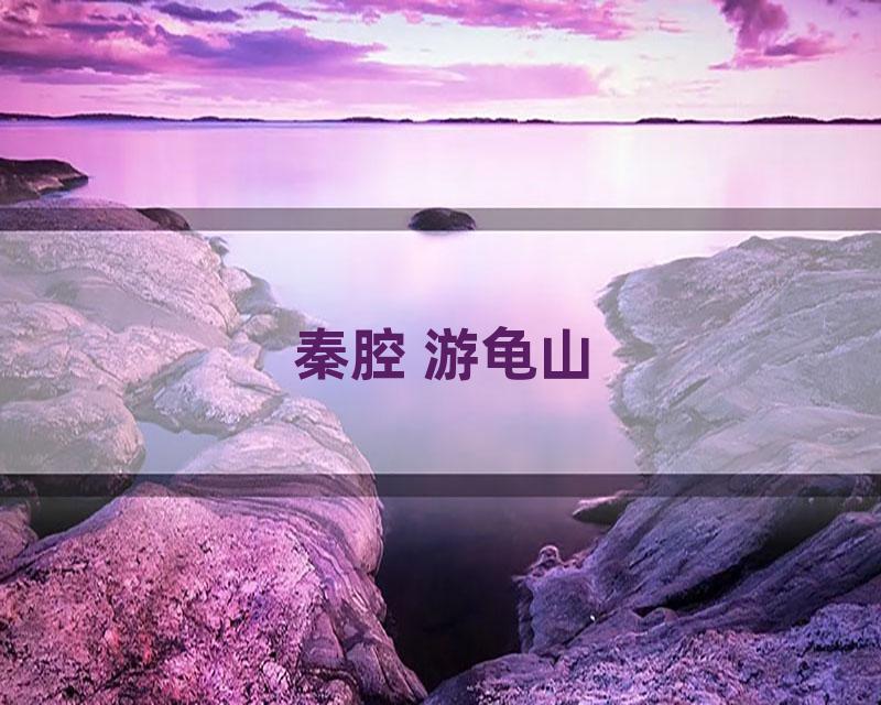 秦腔 游龟山