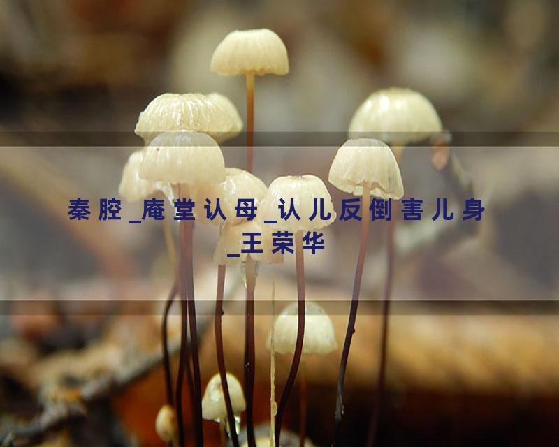 秦腔_庵堂认母_认儿反倒害儿身_王荣华