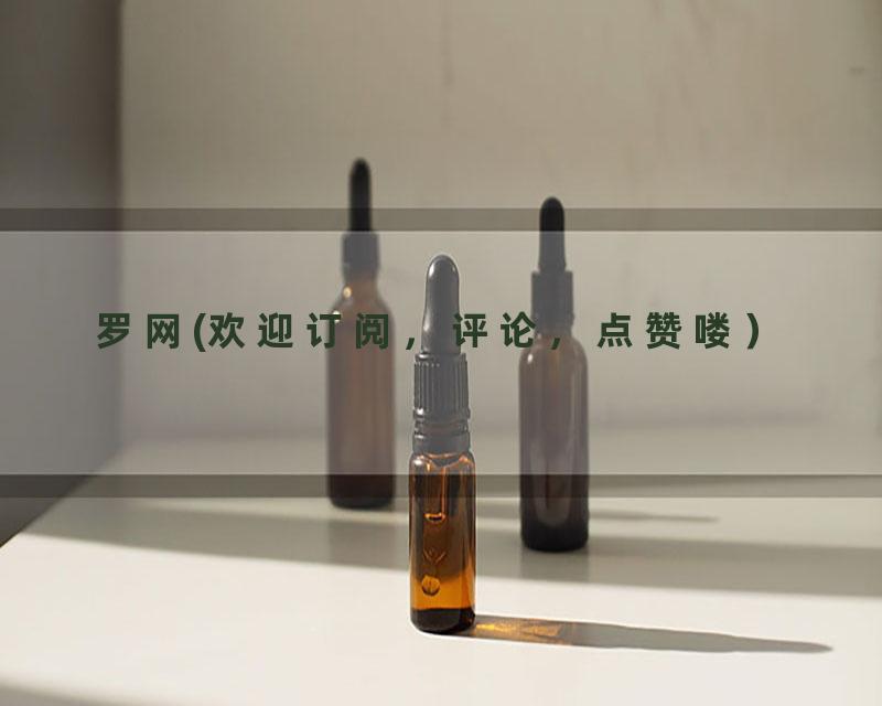 罗网(欢迎订阅，评论，点赞喽）