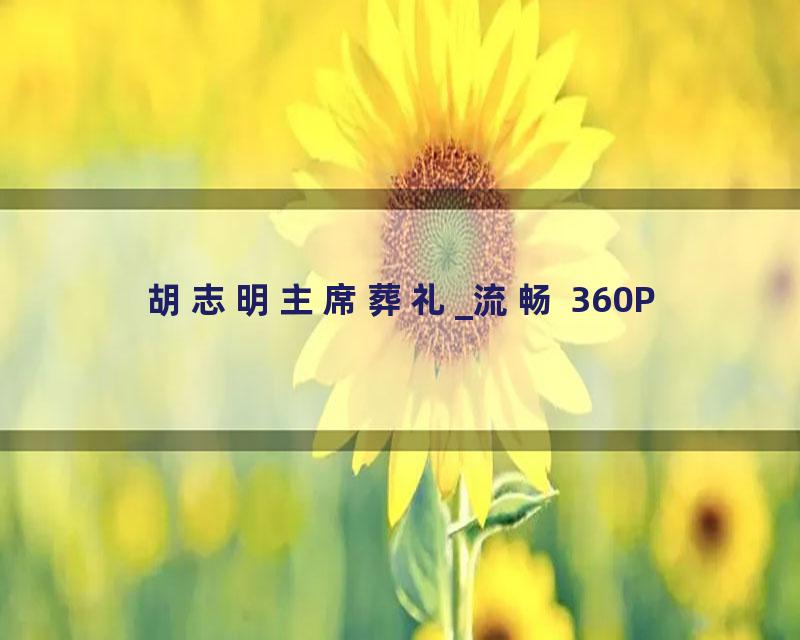 胡志明主席葬礼_流畅 360P