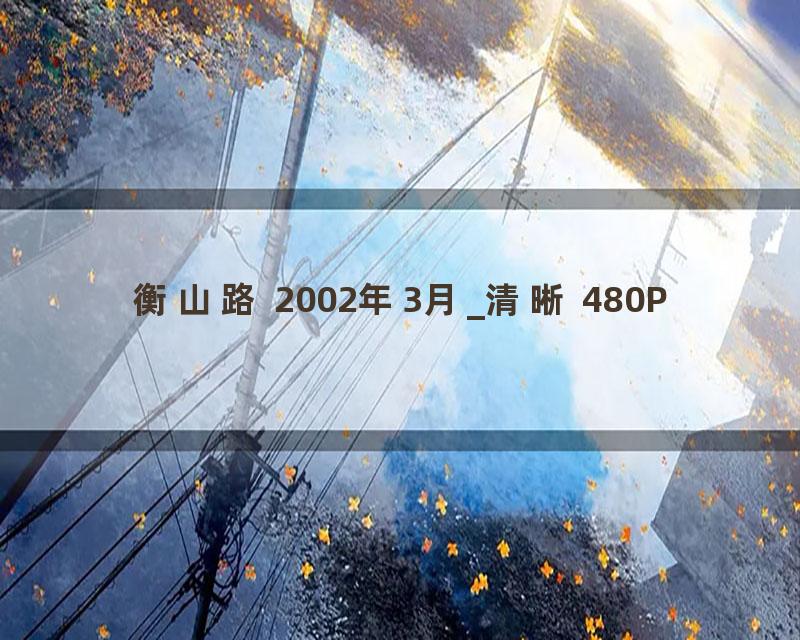 衡山路 2002年3月_清晰 480P