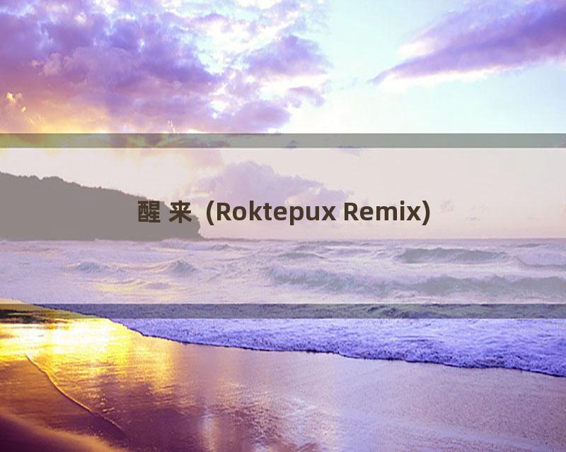 醒来 (Roktepux Remix)