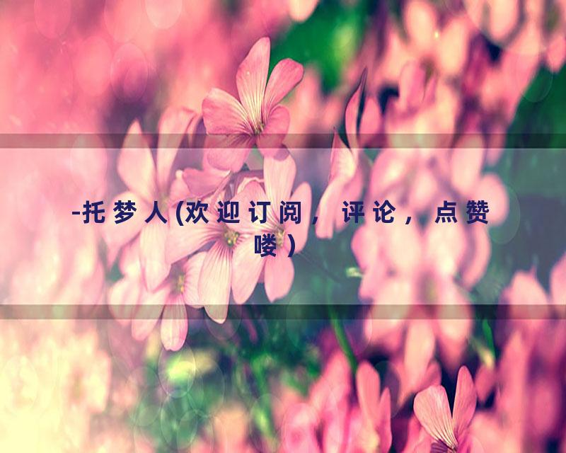 -托梦人(欢迎订阅，评论，点赞喽）