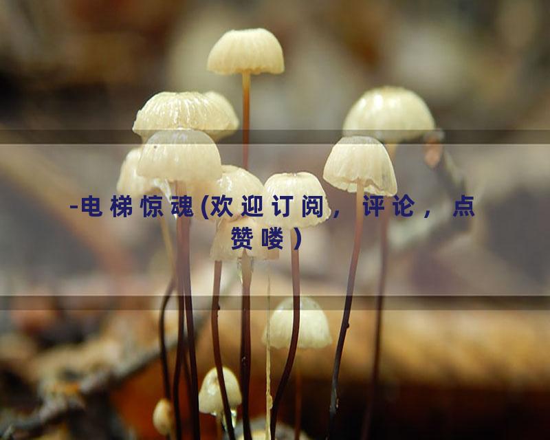 -电梯惊魂(欢迎订阅，评论，点赞喽）