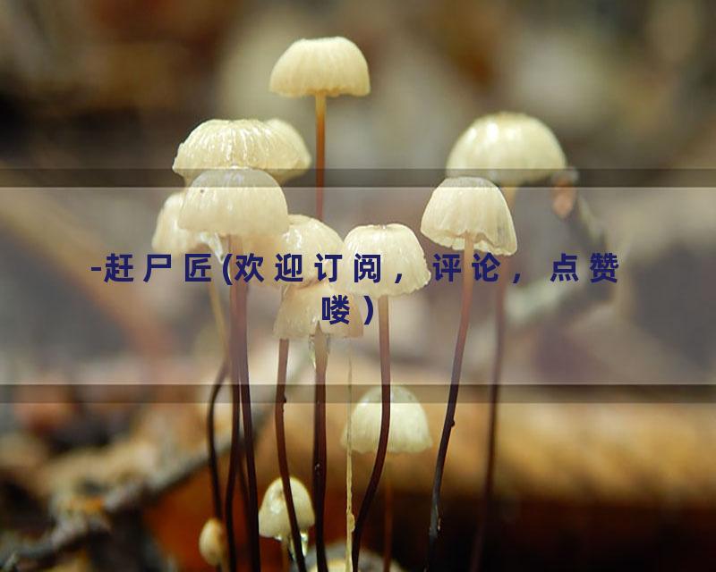 -赶尸匠(欢迎订阅，评论，点赞喽）