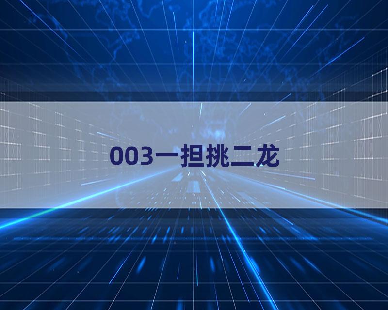 003一担挑二龙