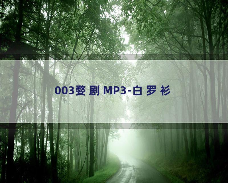 003婺剧MP3-白罗衫