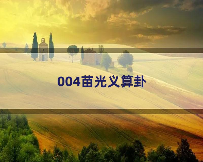 004苗光义算卦