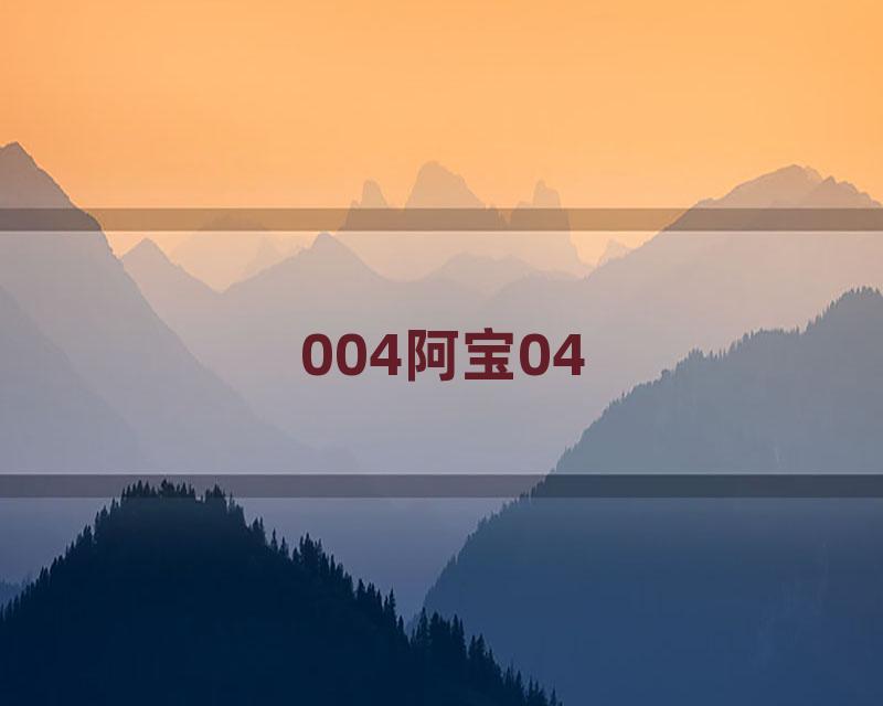 004阿宝04