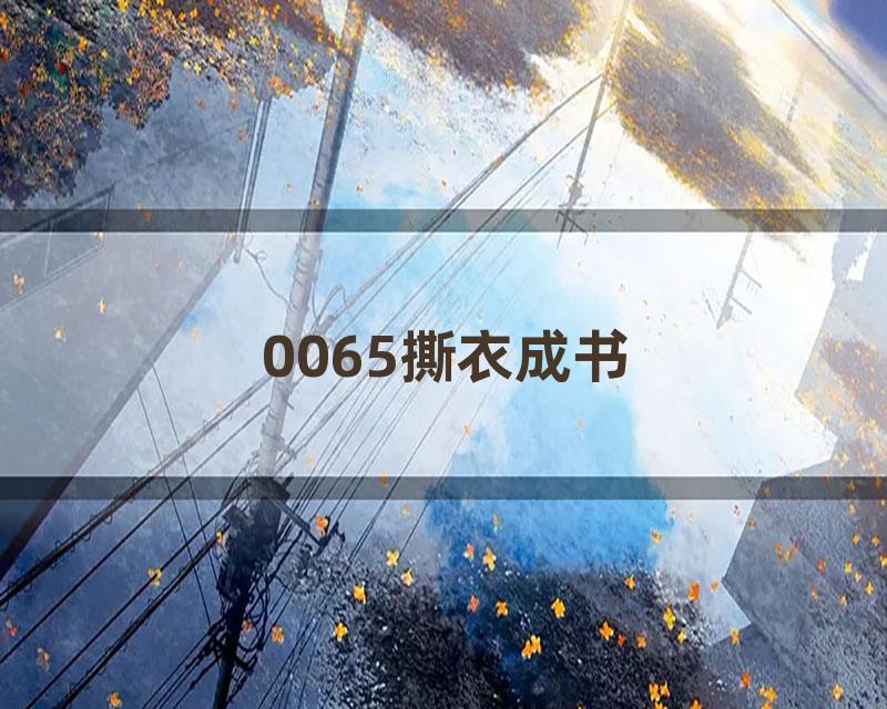 0065撕衣成书