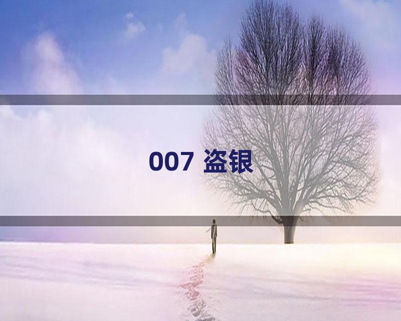 007 盗银