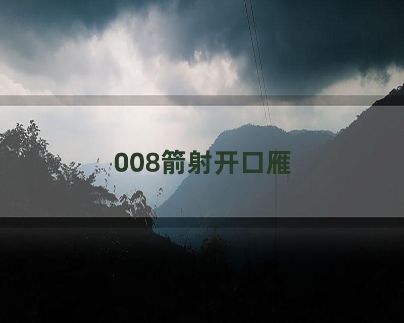 008箭射开口雁