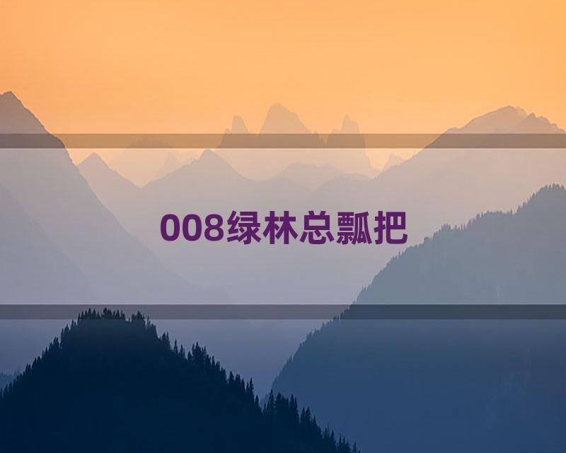 008绿林总瓢把