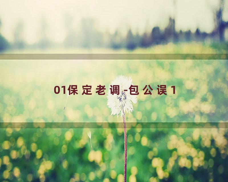 01保定老调-包公误1