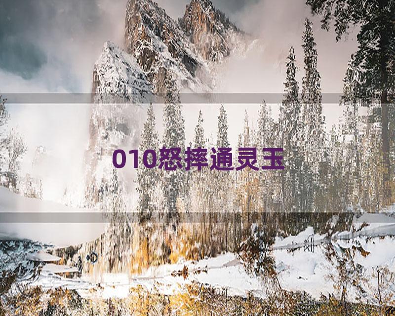 010怒摔通灵玉