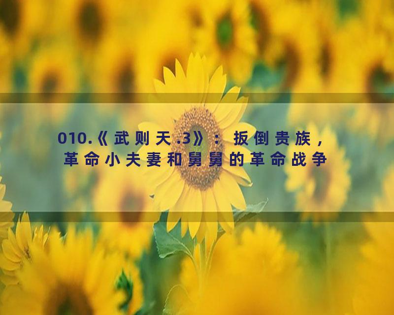 010.《武则天.3》：扳倒贵族，革命小夫妻和舅舅的革命战争