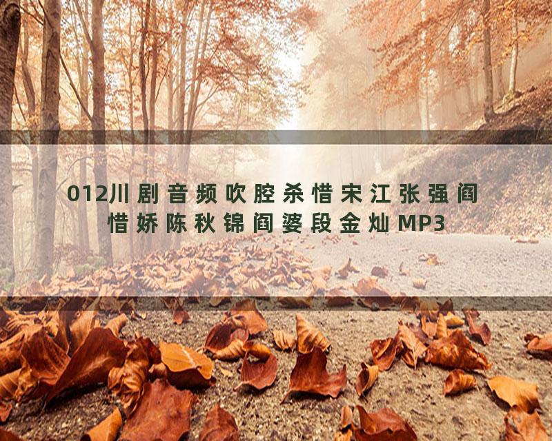 012川剧音频吹腔杀惜宋江张强阎惜娇陈秋锦阎婆段金灿MP3