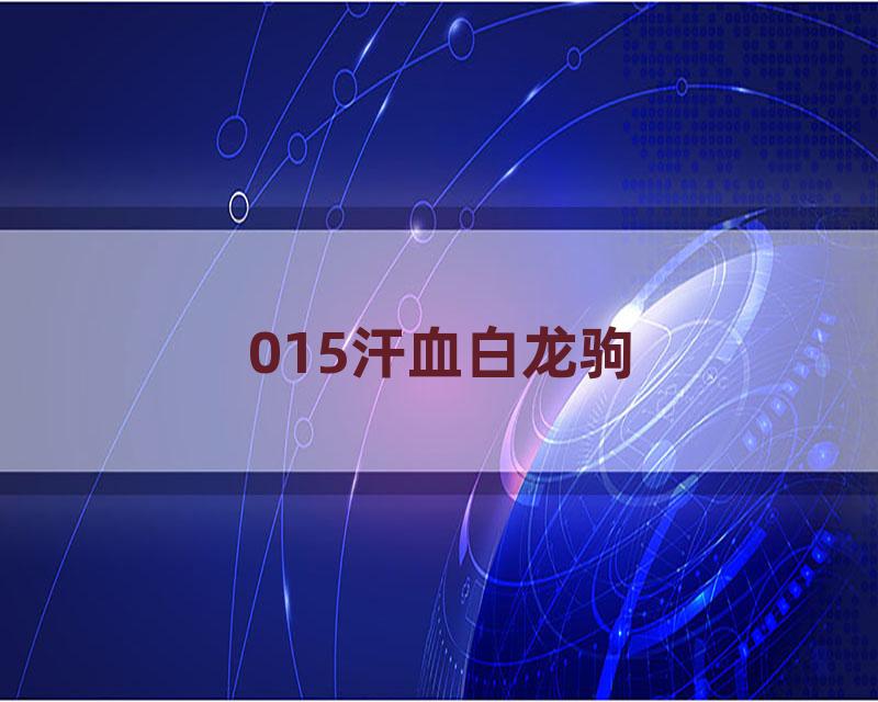 015汗血白龙驹