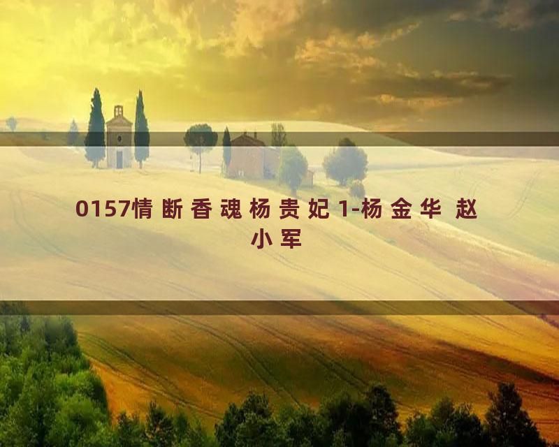 0157情断香魂杨贵妃1-杨金华 赵小军