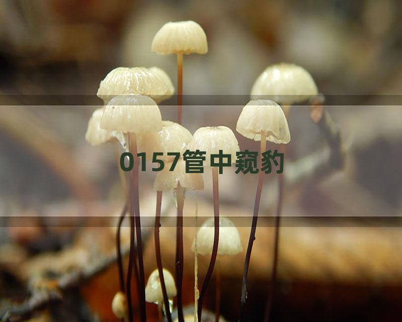 0157管中窥豹