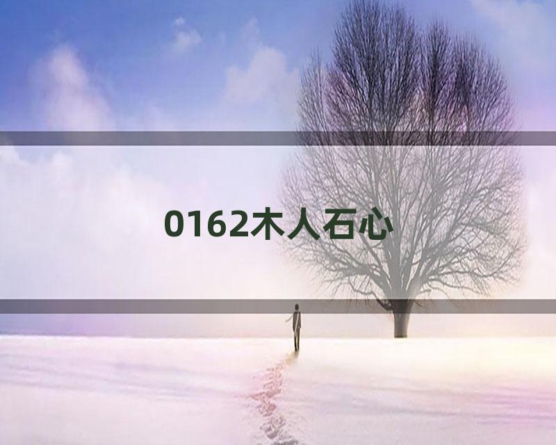 0162木人石心