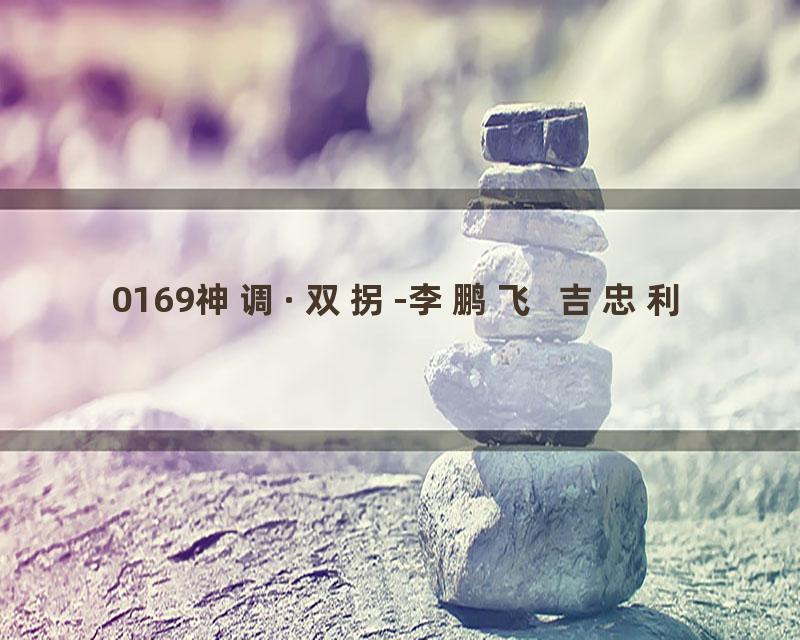 0169神调·双拐-李鹏飞  吉忠利