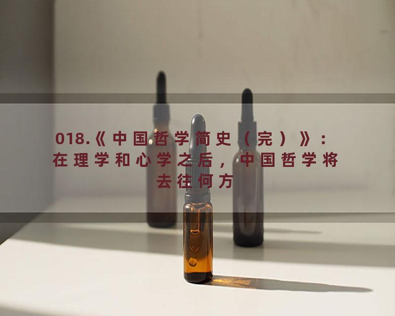 018.《中国哲学简史（完）》：在理学和心学之后，中国哲学将去往何方