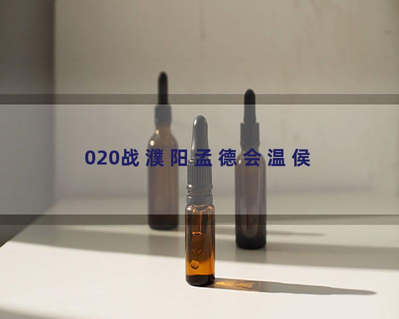 020战濮阳孟德会温侯