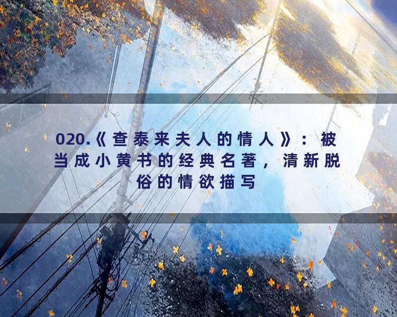 020.《查泰来夫人的情人》：被当成小黄书的经典名著，清新脱俗的情欲描写