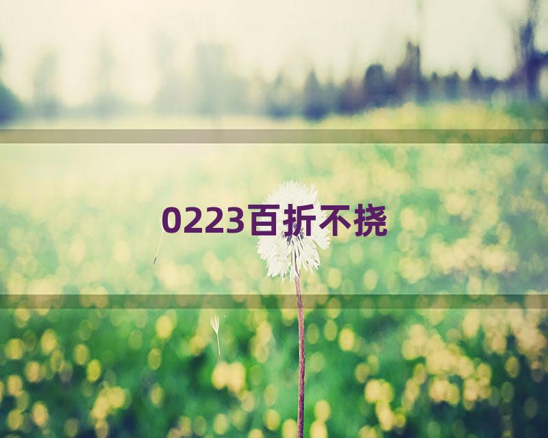 0223百折不挠